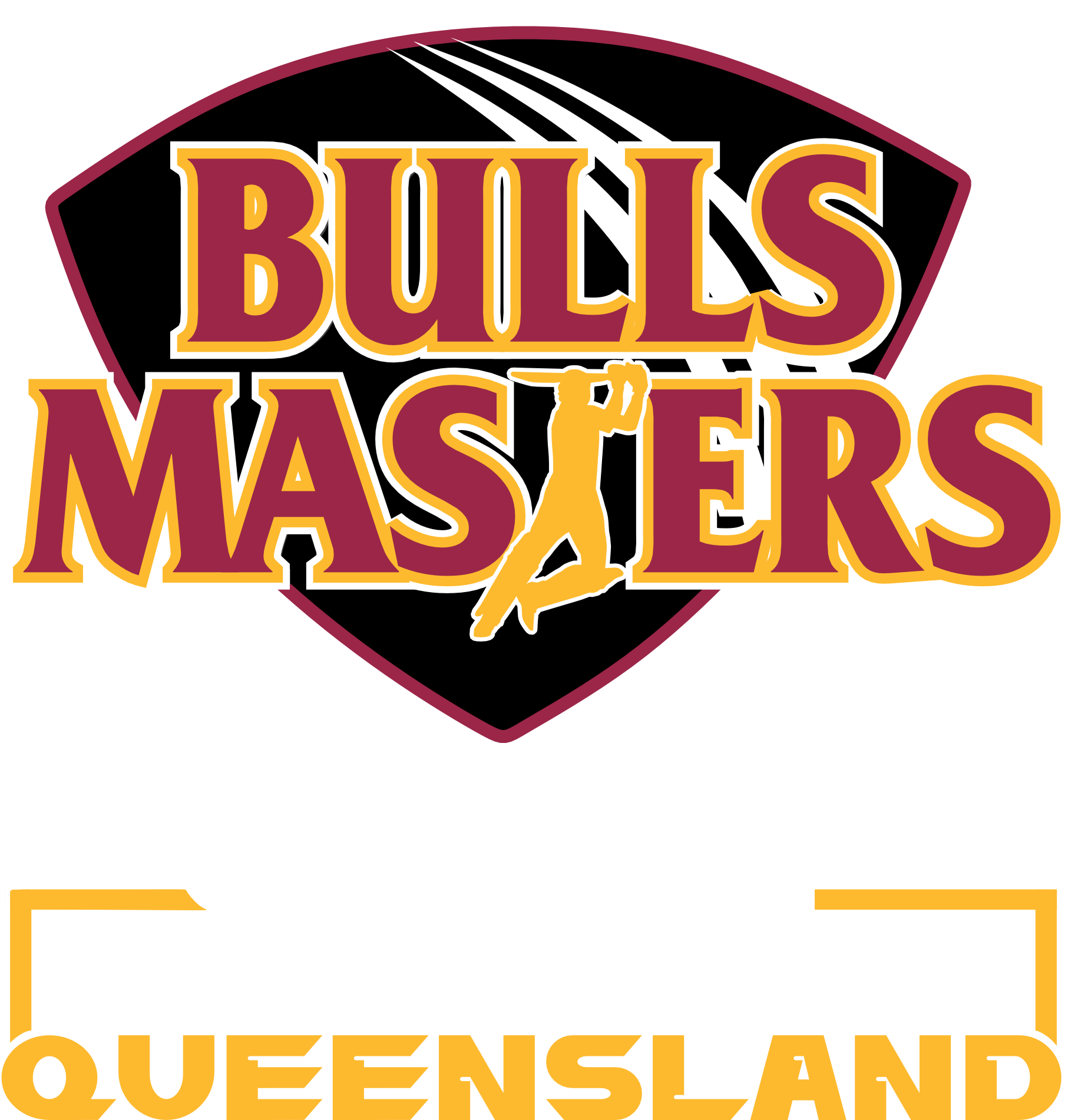 Bulls Masters